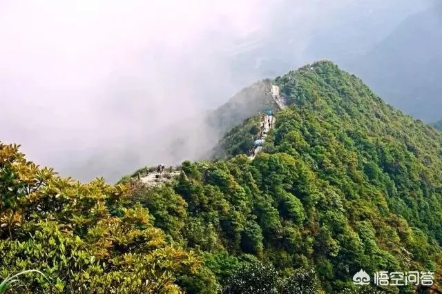 深圳周边有什么徒步路线值得推荐？