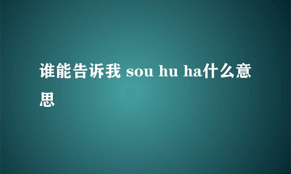 谁能告诉我 sou hu ha什么意思