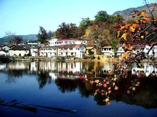 临安农家乐去哪里好