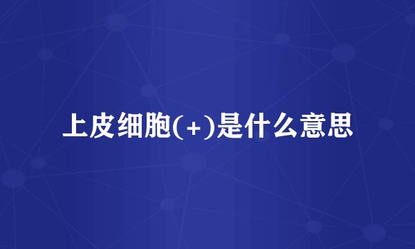 上皮细胞(+)是什么意思