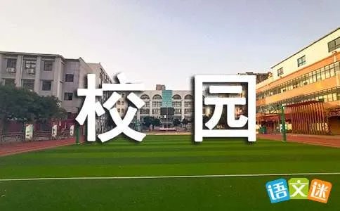 伤感爱情校园日志
