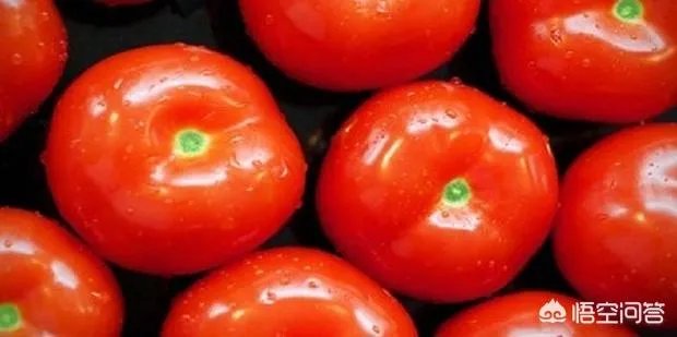 番茄的种植方法？