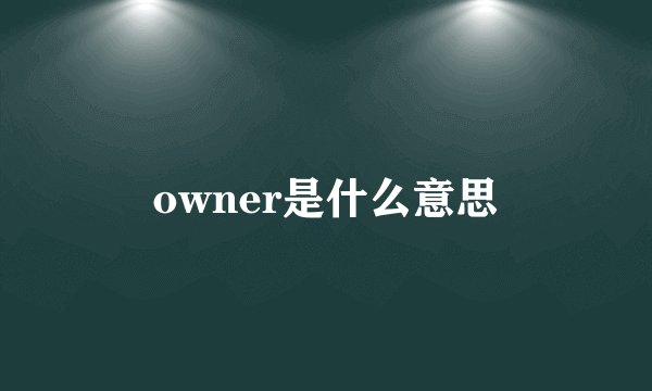 owner是什么意思