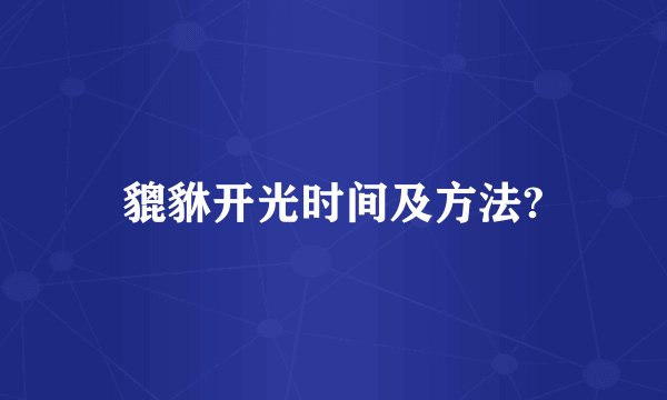 貔貅开光时间及方法?