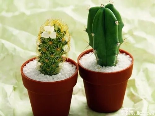 如何去除装修异味 教你去除装修异味的九大方法