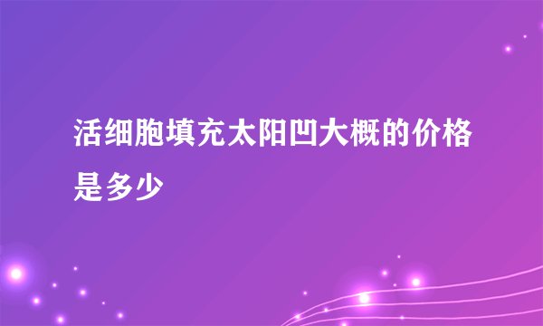 活细胞填充太阳凹大概的价格是多少