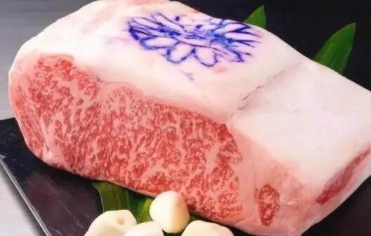 日本神户牛肉到底好在哪里？