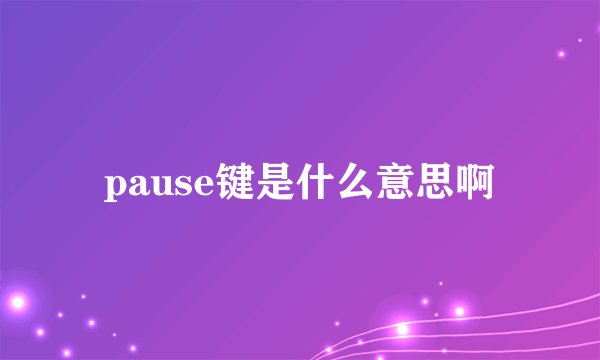 pause键是什么意思啊