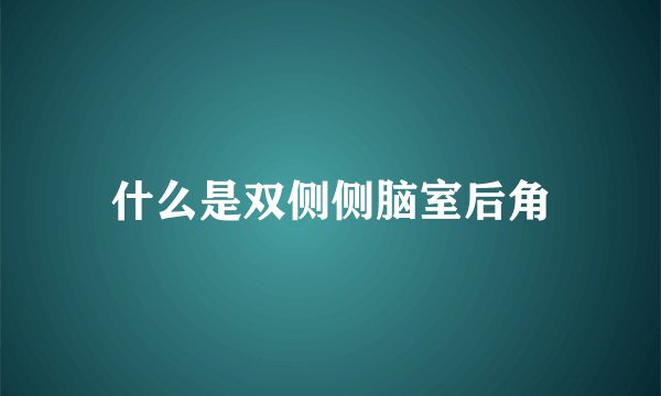 什么是双侧侧脑室后角