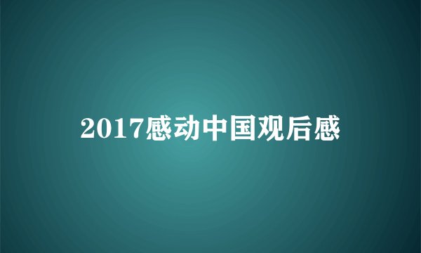 2017感动中国观后感