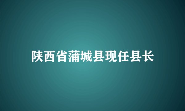 陕西省蒲城县现任县长