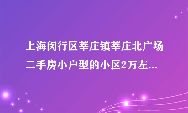 上海闵行区莘庄镇莘庄北广场二手房小户型的小区2万左右的有出售的吗
