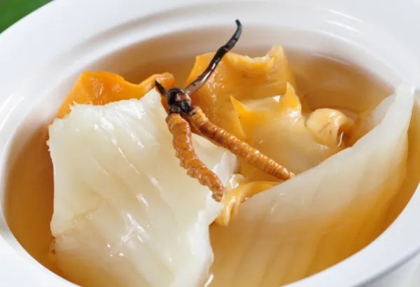 花胶煲汤的做法大全