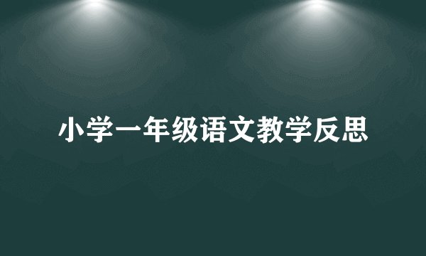 小学一年级语文教学反思