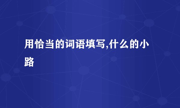 用恰当的词语填写,什么的小路