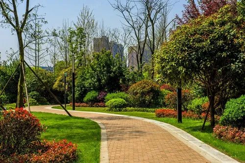 绿化率计算公式是什么