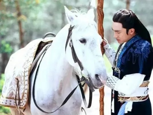 《水浒传》除了乌骓马，还有哪些有名的宝马？