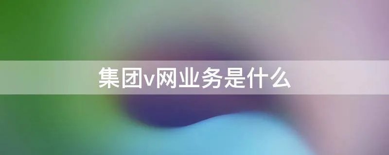 集团v网业务是什么