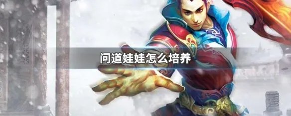 问道娃娃怎么培养