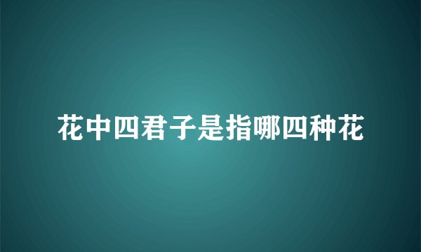 花中四君子是指哪四种花
