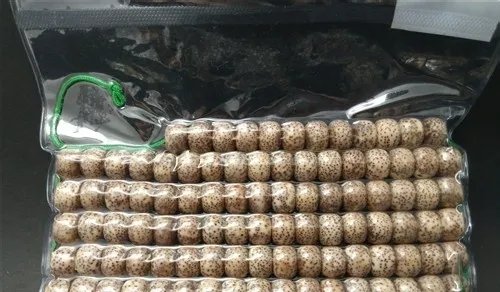 星月菩提佛珠金蝉子和元宝籽的区别是什么？