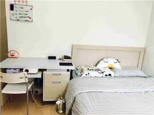 深圳什么网站租房