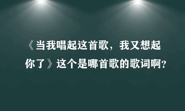 《当我唱起这首歌，我又想起你了》这个是哪首歌的歌词啊？