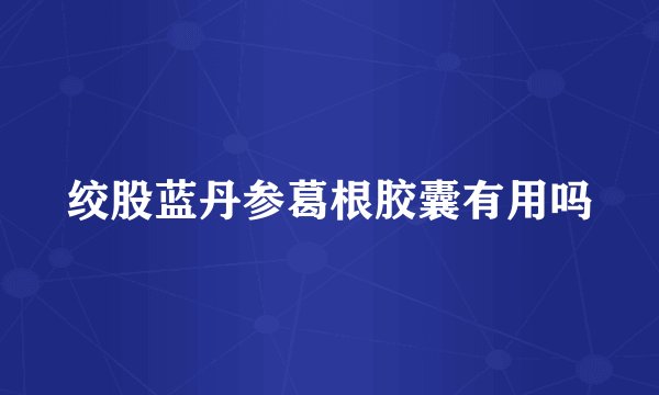 绞股蓝丹参葛根胶囊有用吗
