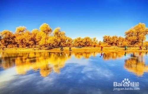 胡杨林旅游攻略