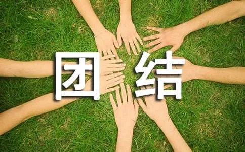 团结协作的成语