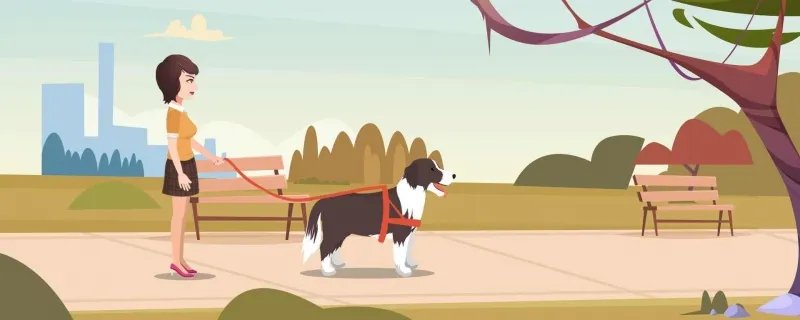 茶杯犬是怎么来的 茶杯犬的寿命是多长