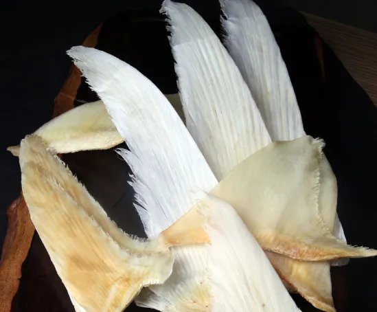 鱼翅的营养价值及功效