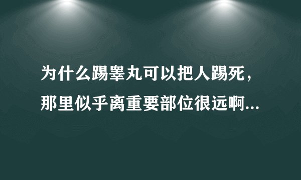 为什么踢睾丸可以把人踢死，那里似乎离重要部位很远啊，那里为什