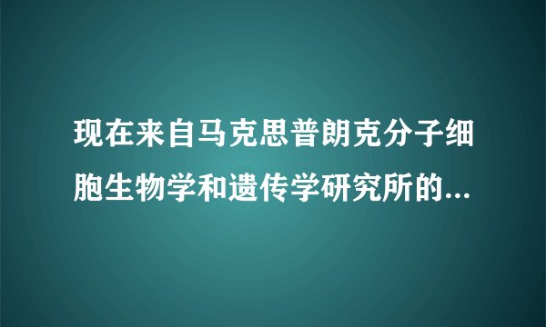 现在来自马克思普朗克分子细胞生物学和遗传学研究所的研究人员，更进一步地了解来调控再生的因子．他们在扁形动物Dendrocoehum bcteum中发现了一个重要的分子开关，其决定了失去的头部是否能够再生．下列不属于扁形动物的是（　　）A.血吸虫B.绦虫C.水螅D.华支睾吸虫