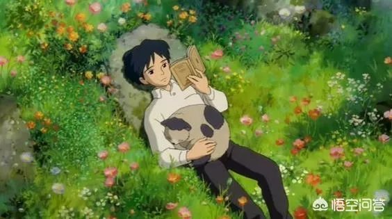 宫崎骏动漫在哪里看