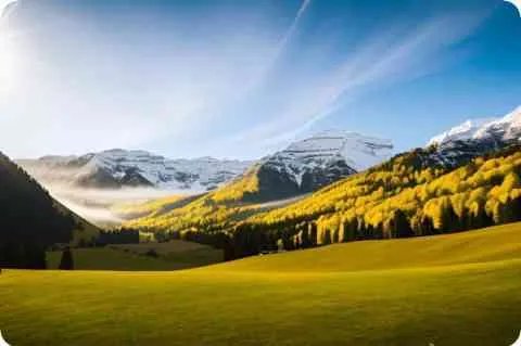 雄心壮志：ambition有几种意思