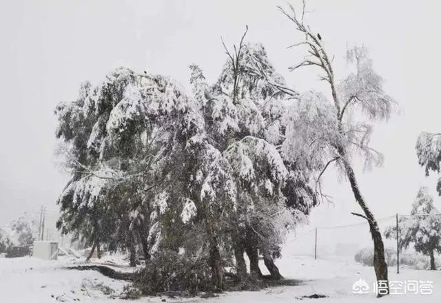 山东，四川等地有冰雹，对农作物损害非常大，你怎么看？