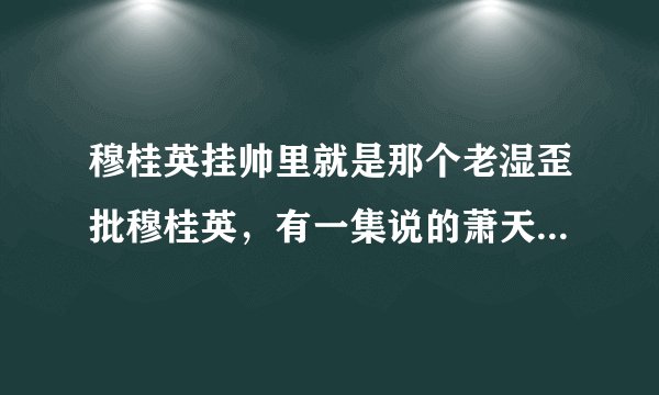 穆桂英挂帅里就是那个老湿歪批穆桂英，有一集说的萧天佐的那个复杂的发型叫什么等离子XX是什么？求全称！
