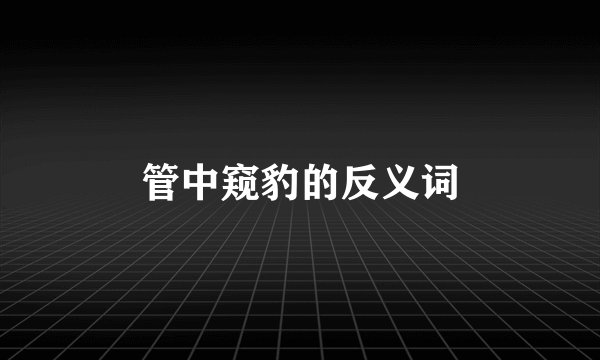 管中窥豹的反义词