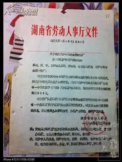 湖南省人事厅的内设机构