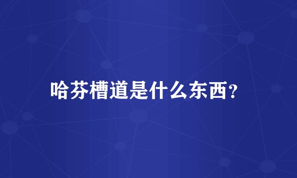 哈芬槽道是什么东西？