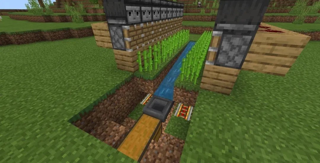 我的世界自动甘蔗机怎么做