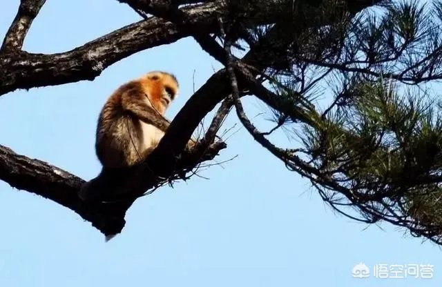 宁陕县旅游景点排名