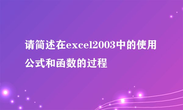 请简述在excel2003中的使用公式和函数的过程