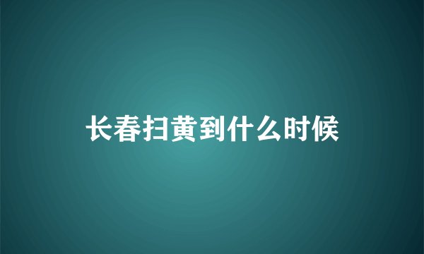 长春扫黄到什么时候