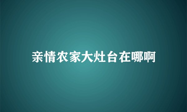 亲情农家大灶台在哪啊