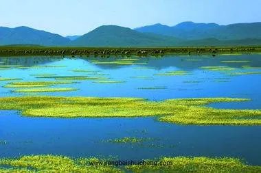 青海祁连山再次出现环境破坏事件，为何还有人顶风作案？