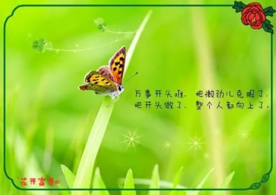 她曾贵为天妃小说(初八姑娘著) 凌瑶岑帝旌未删减版阅读