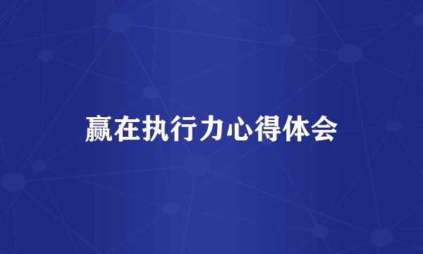 赢在执行力心得体会