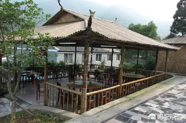 你看好休闲农庄的前景吗？